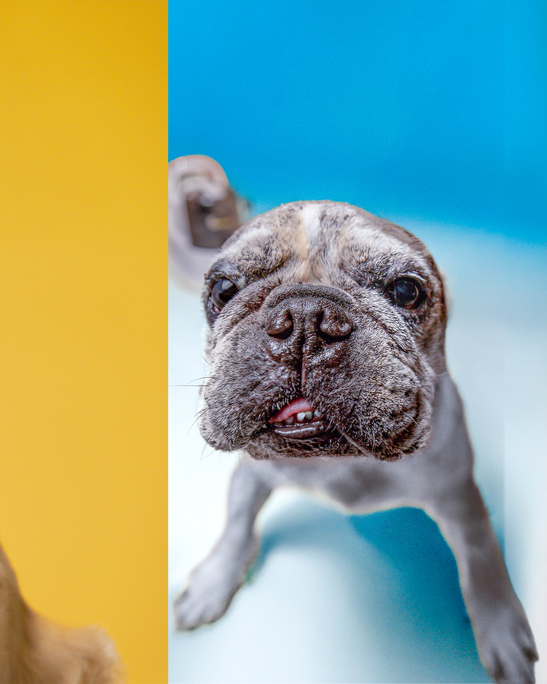 PADRÃO-10X1---cópia_02