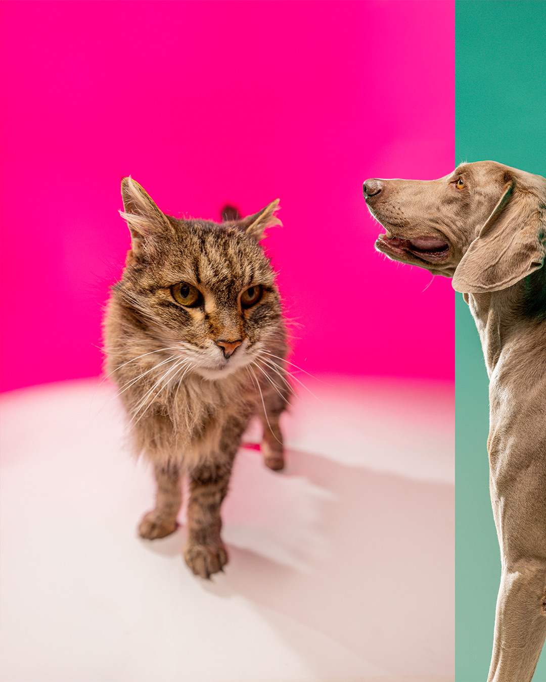 PADRÃO-10X1---cópia_04