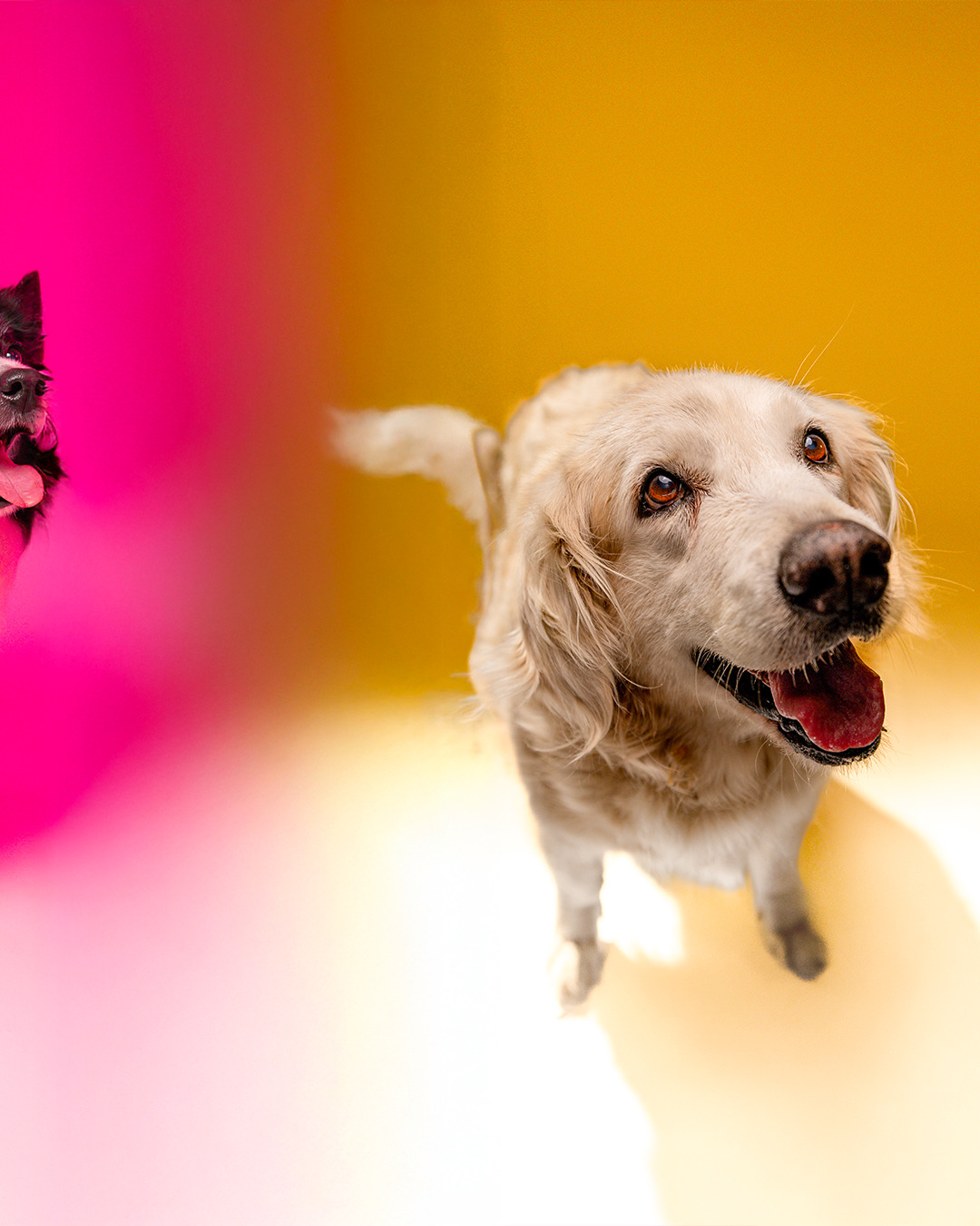 PADRÃO-10X1---cópia_06