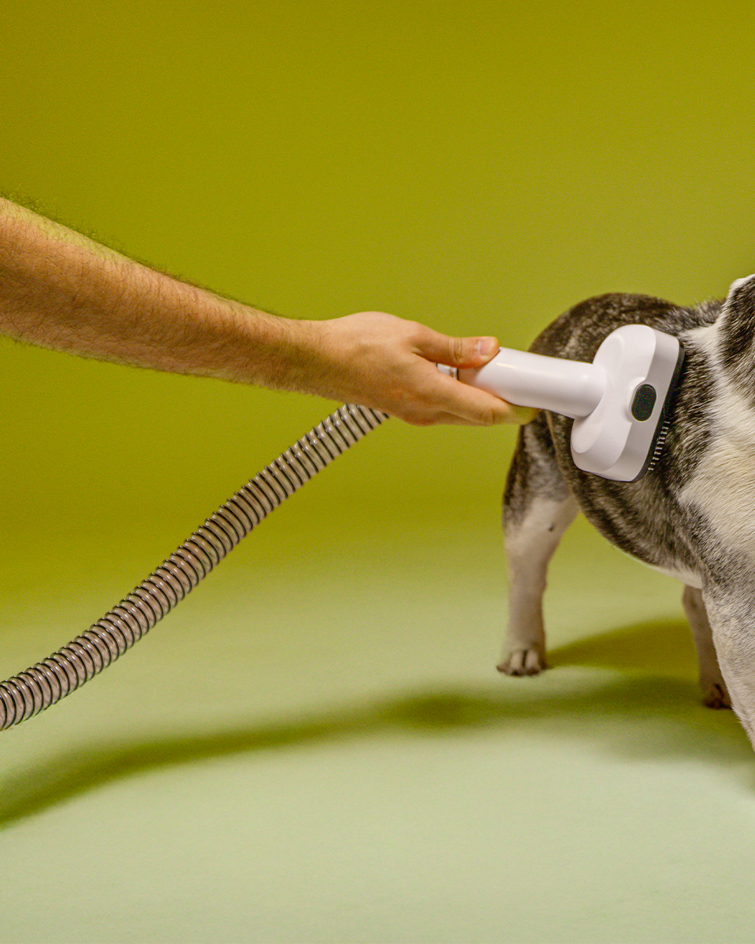 PADRÃO-10X1---cópia_07