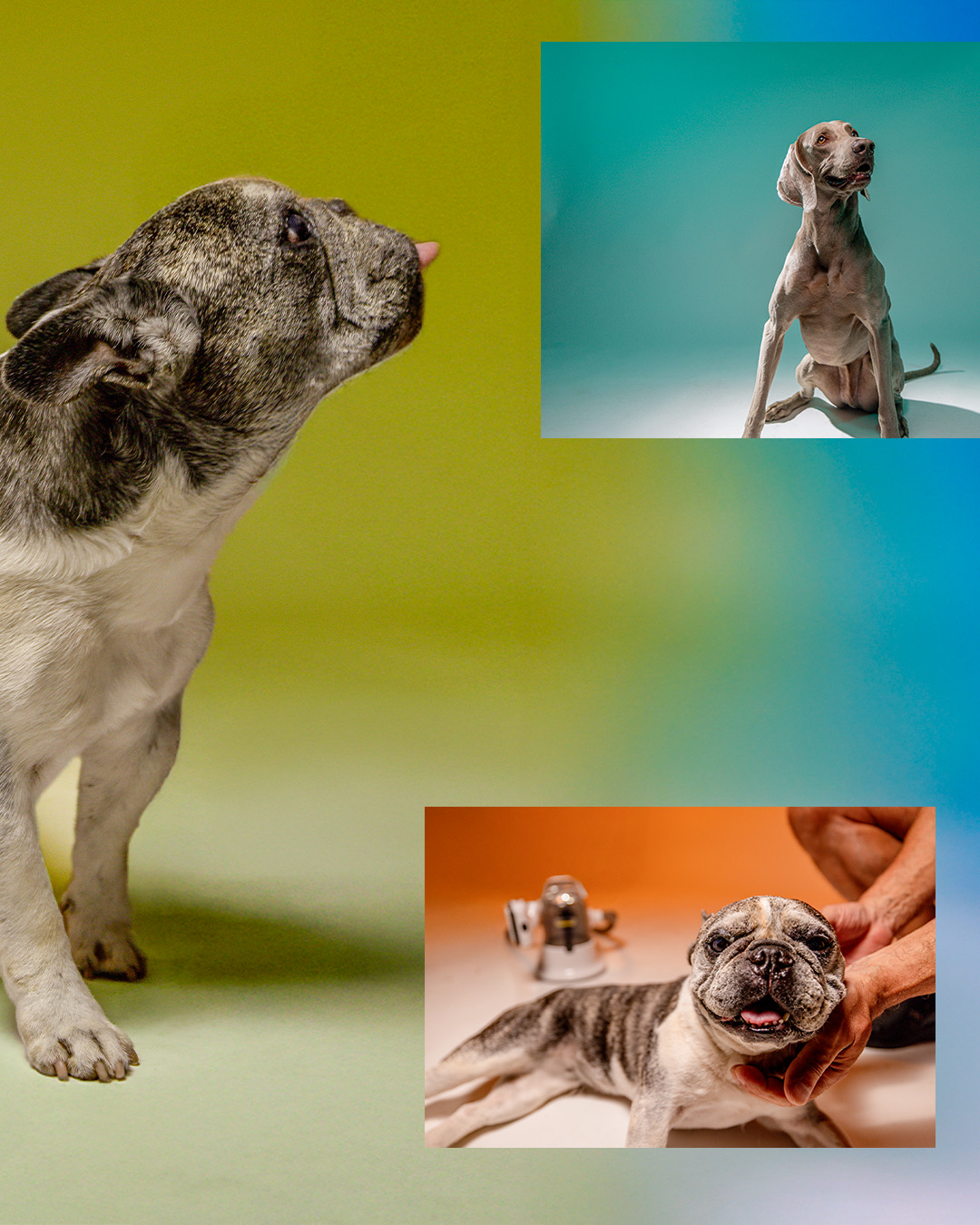 PADRÃO-10X1---cópia_08