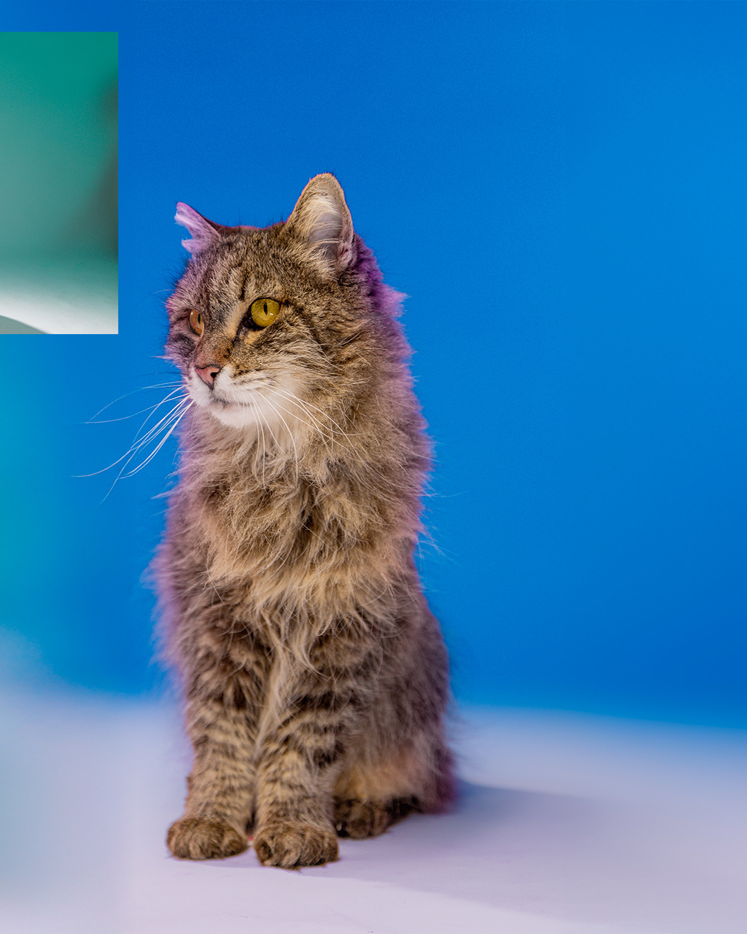 PADRÃO-10X1---cópia_09